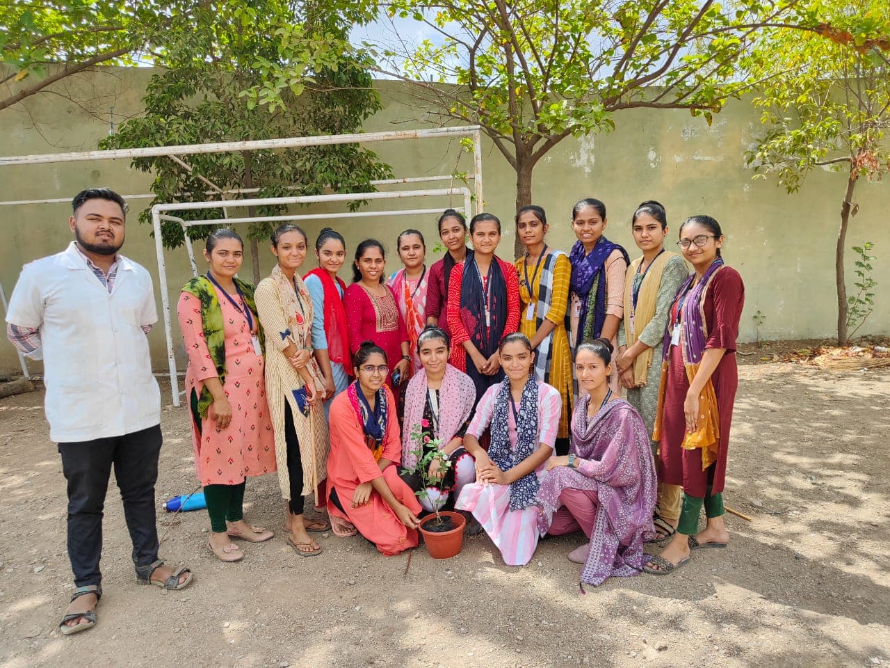 Environmental Day Tree Plantation
